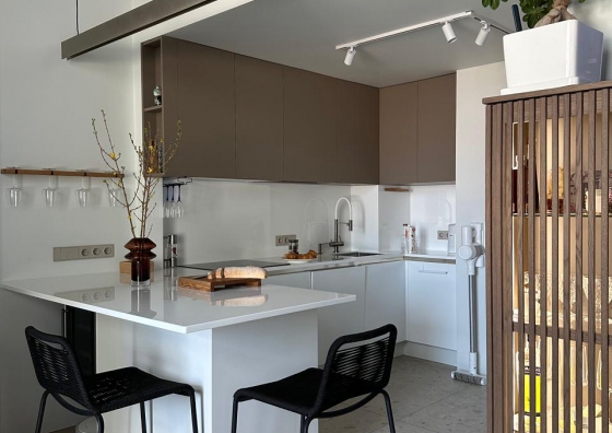 Проект кухни «ЭНЛИ» Премьер